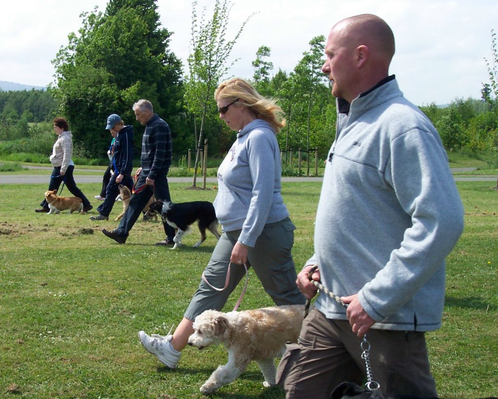 dog-and-puppy-training-basics-for-a-well-behaved-dog